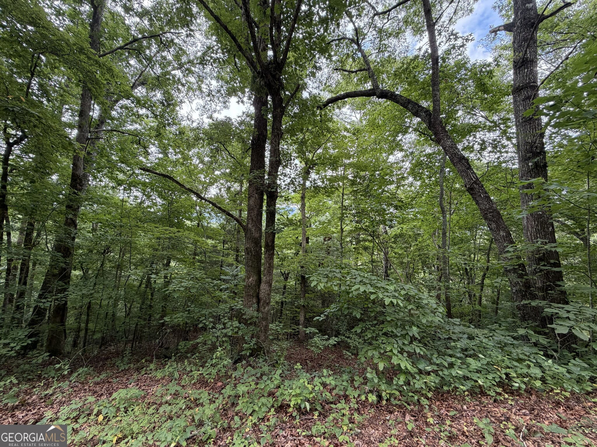 residential lot for sale at 4.63 Twiggs Road, Hiawassee, GA 30546 — photo 1 of 20