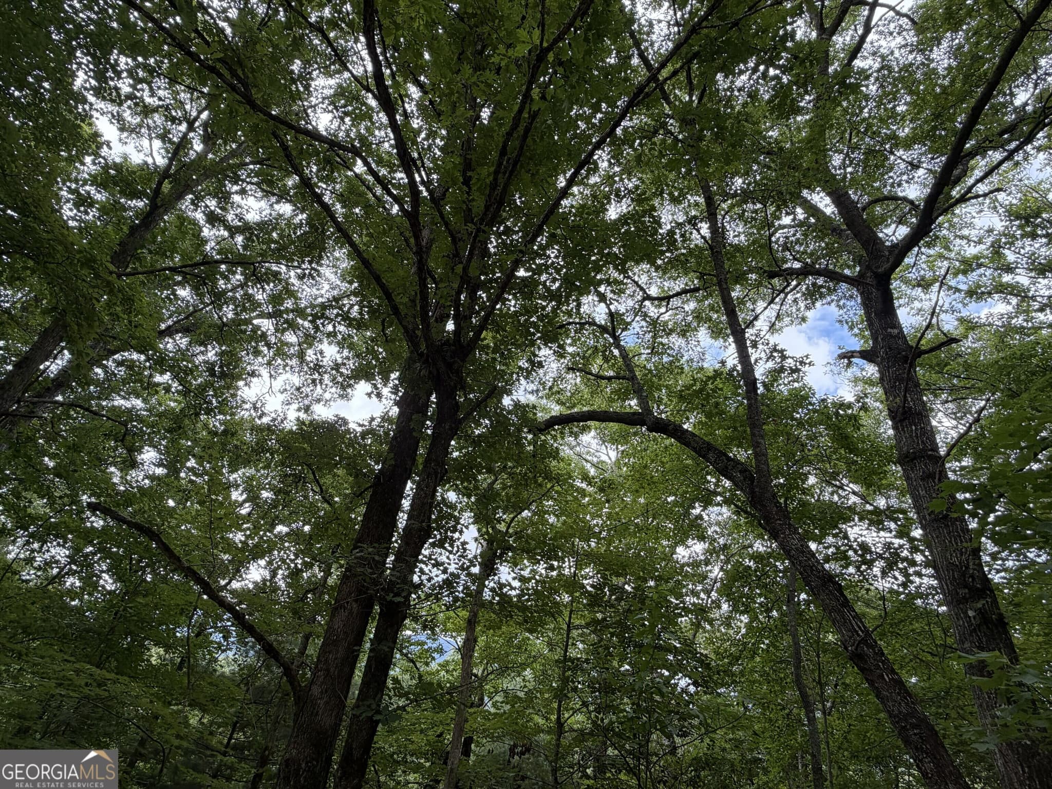 residential lot for sale at 4.63 Twiggs Road, Hiawassee, GA 30546 — photo 5