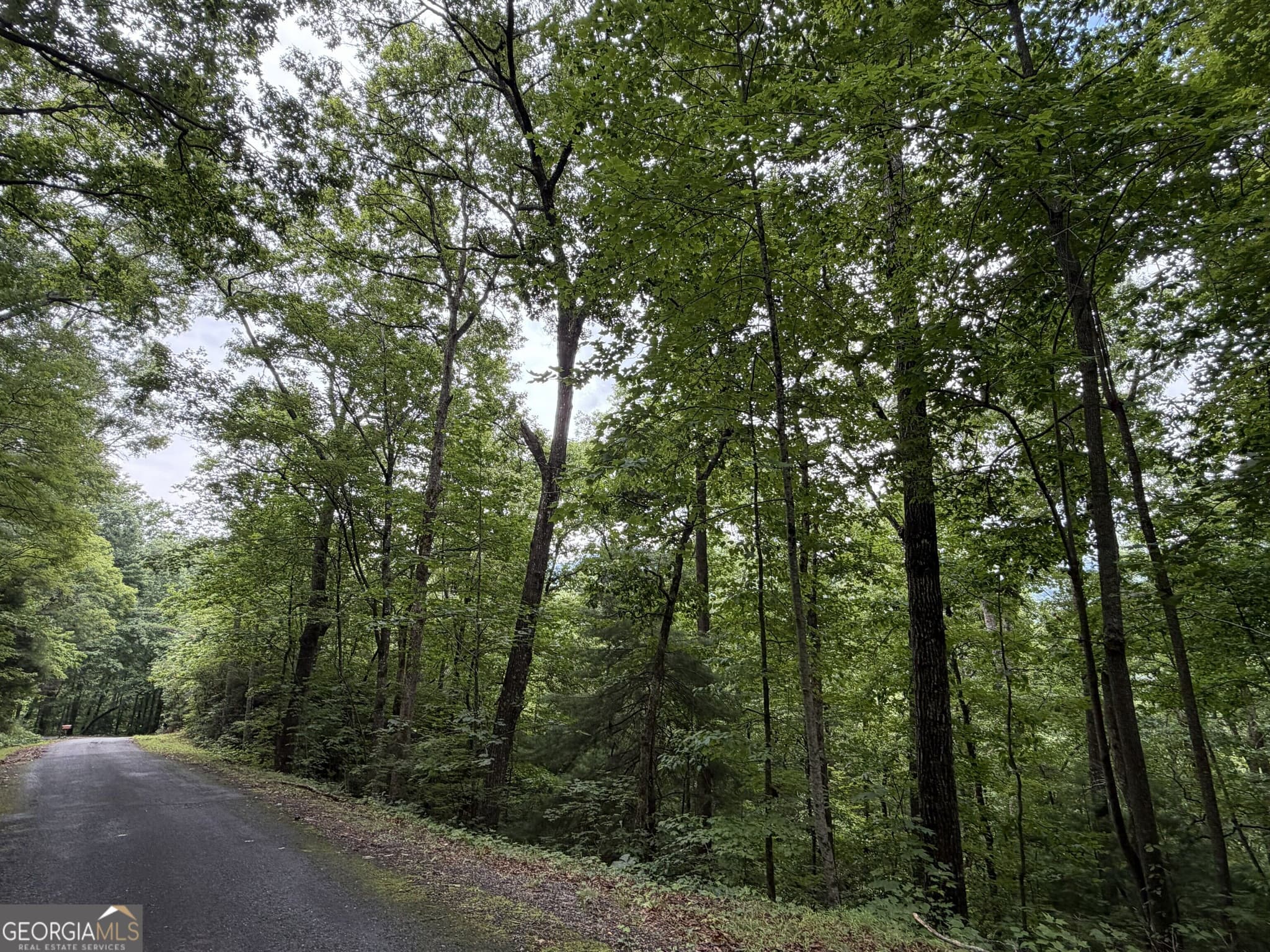 residential lot for sale at 4.63 Twiggs Road, Hiawassee, GA 30546 — photo 9