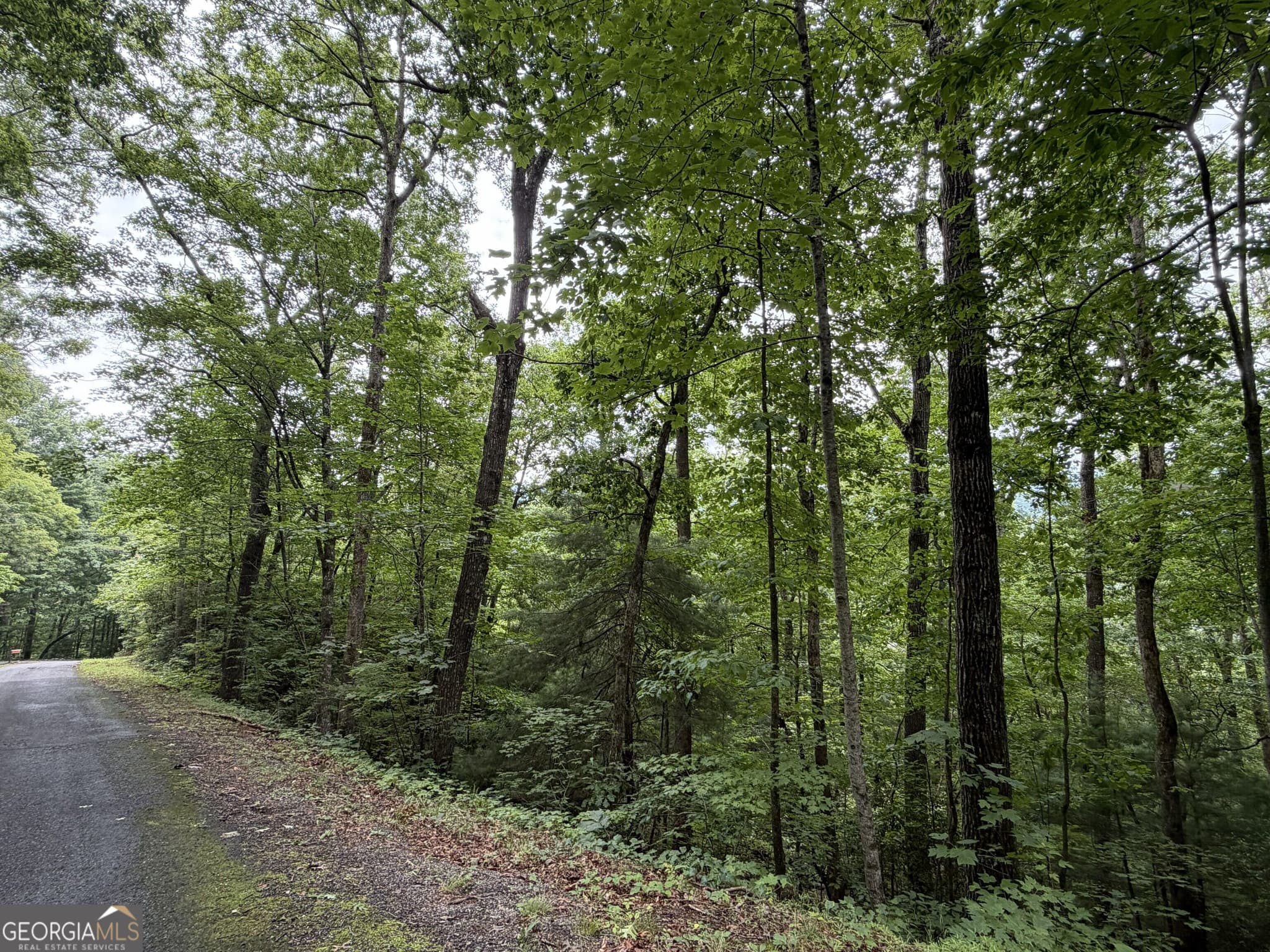residential lot for sale at 4.63 Twiggs Road, Hiawassee, GA 30546 — photo 10
