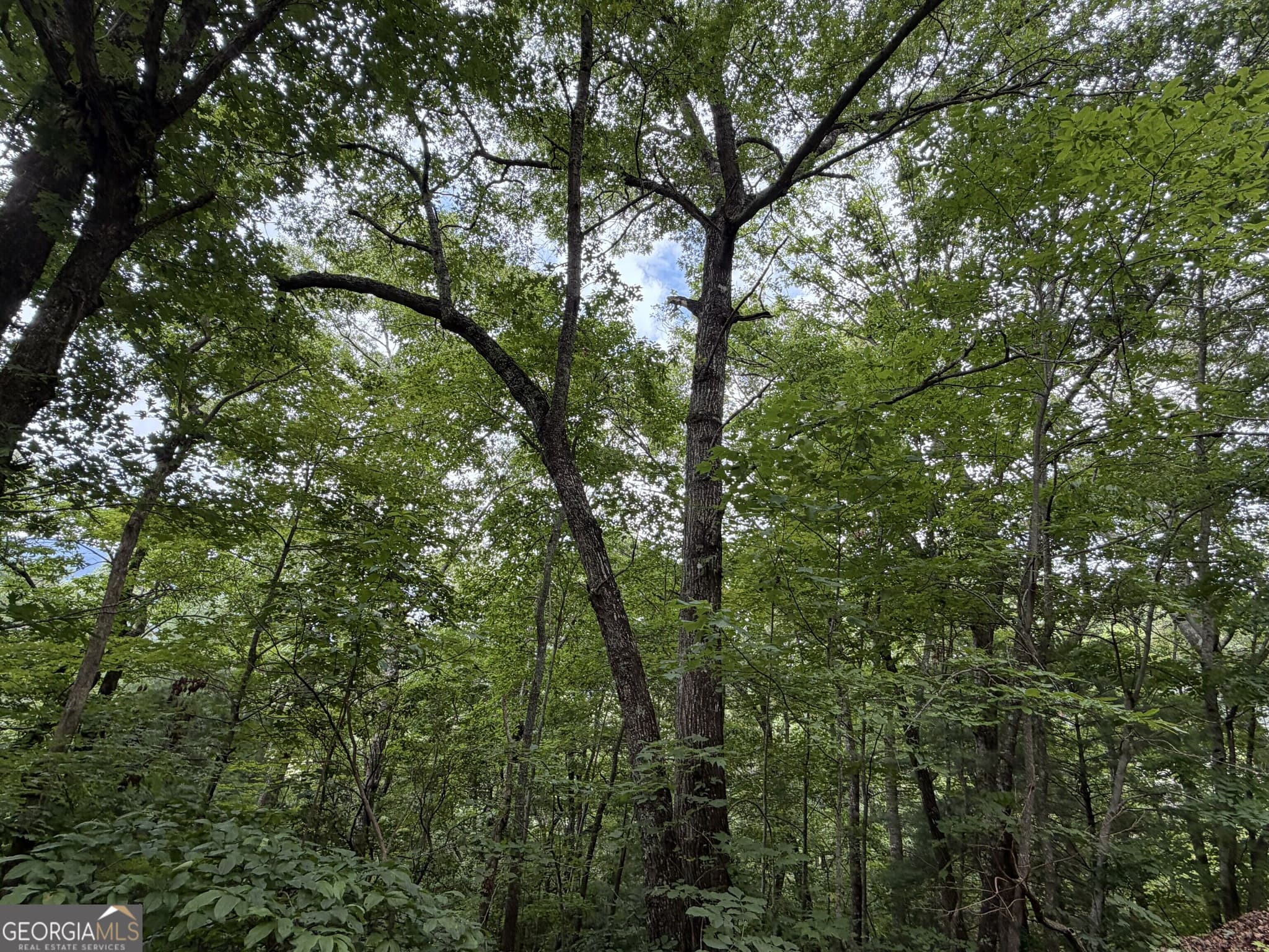residential lot for sale at 4.63 Twiggs Road, Hiawassee, GA 30546 — photo 4