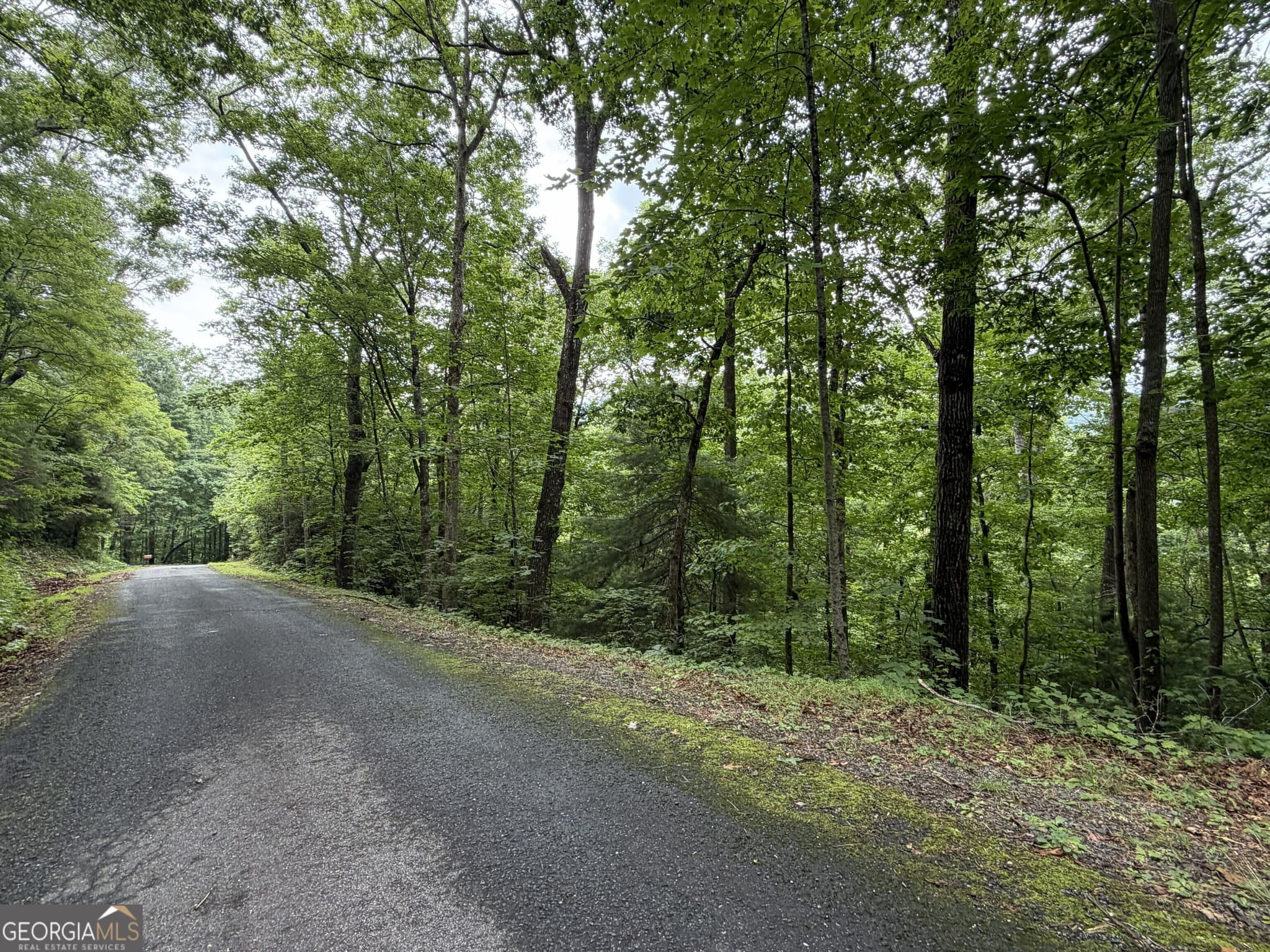 residential lot for sale at 4.63 Twiggs Road, Hiawassee, GA 30546 — photo 8