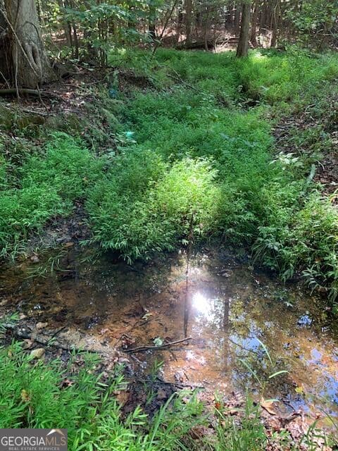 agriculture for sale at 4000 Landham/Campbellton Road, Fairburn, GA 30213 — photo 2
