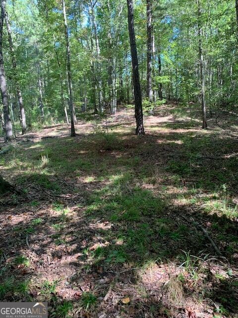 agriculture for sale at 4000 Landham/Campbellton Road, Fairburn, GA 30213 — photo 3