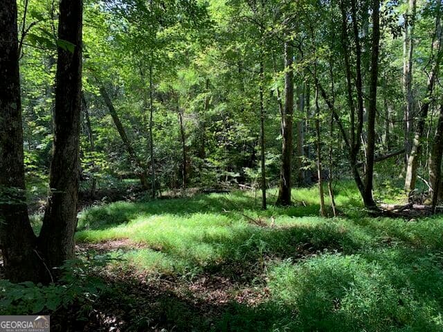 agriculture for sale at 4000 Landham/Campbellton Road, Fairburn, GA 30213 — photo 1 of 5
