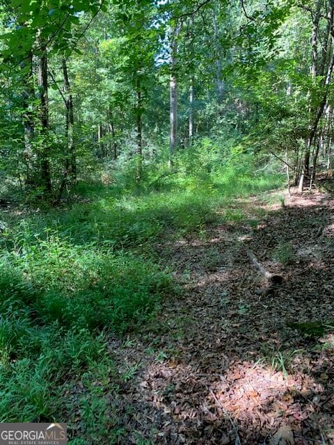 agriculture for sale at 4000 Landham/Campbellton Road, Fairburn, GA 30213 — photo 5