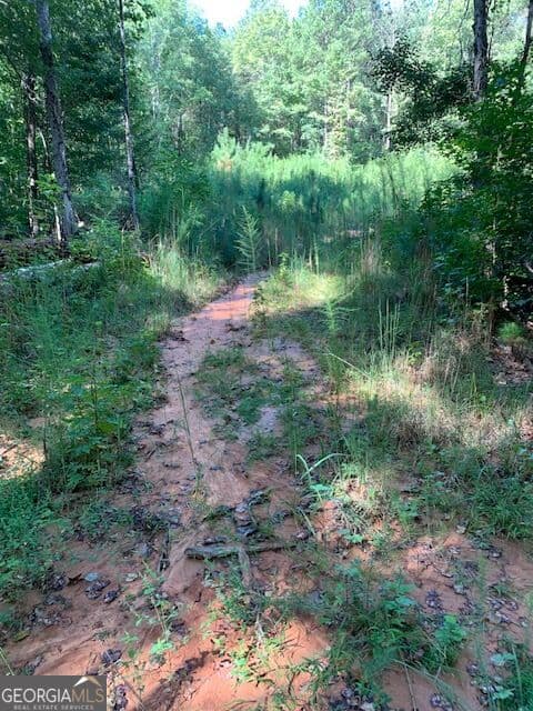 agriculture for sale at 4000 Landham/Campbellton Road, Fairburn, GA 30213 — photo 4