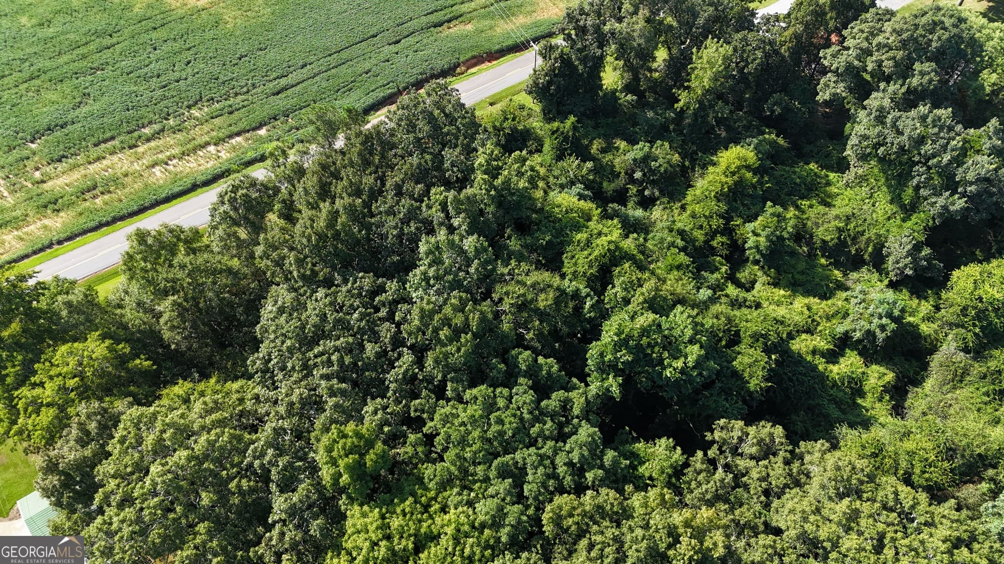 residential lot for sale at 2152 Dr George Ward Road, Elberton, GA 30635 — photo 7