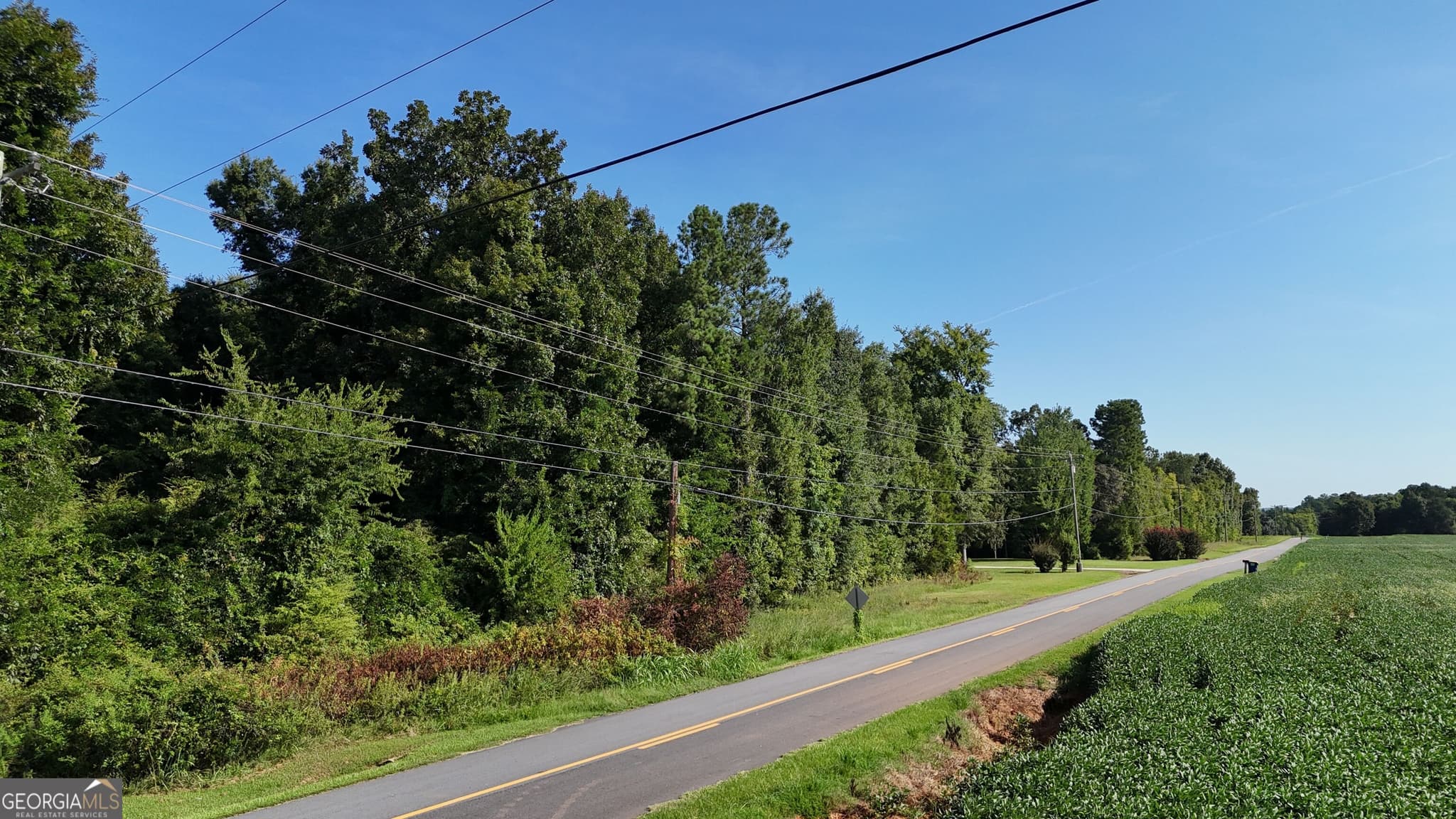 residential lot for sale at 2152 Dr George Ward Road, Elberton, GA 30635 — photo 3