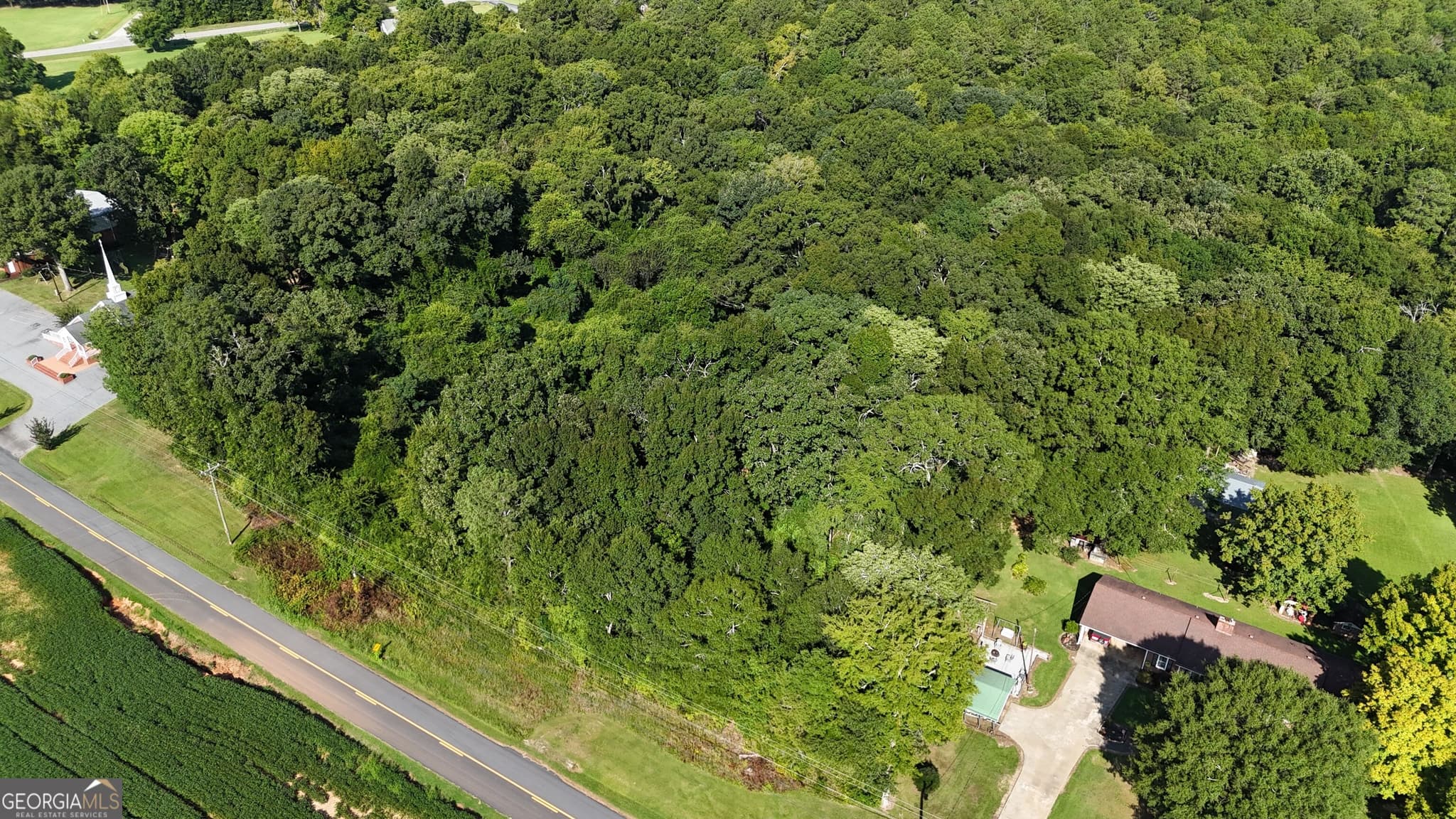 residential lot for sale at 2152 Dr George Ward Road, Elberton, GA 30635 — photo 4
