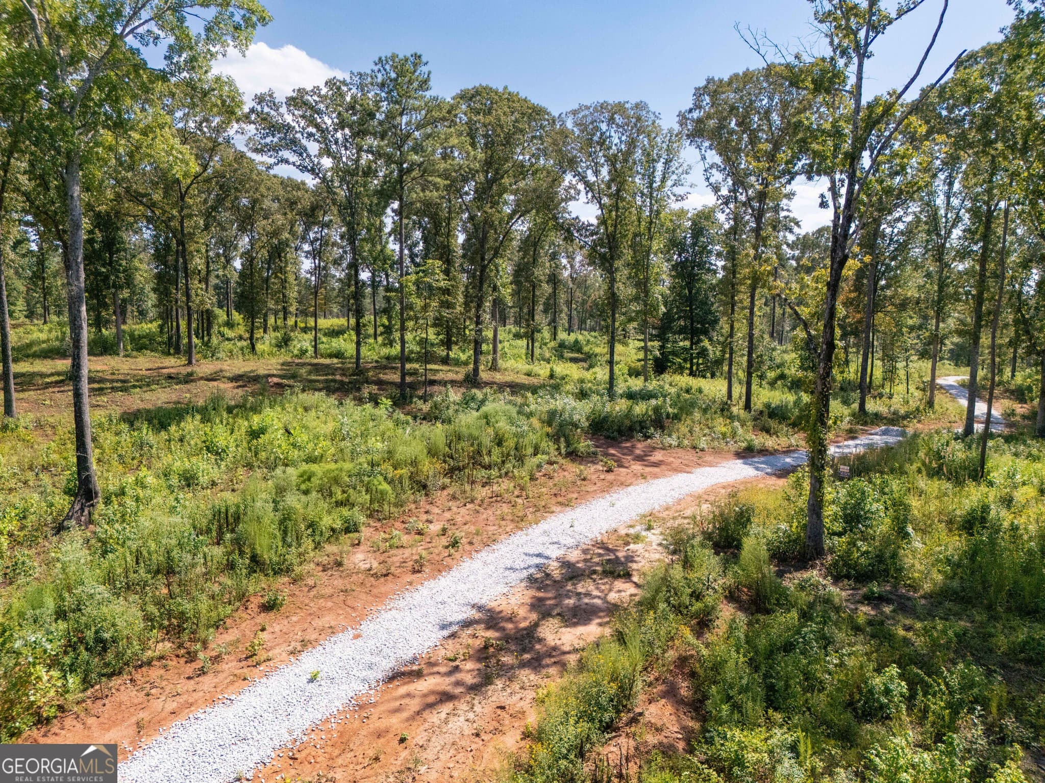 estate lot for sale at 0 Hwy 100 4 SADIE PLACE, Franklin, GA 30217 — photo 2