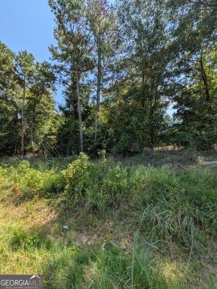 unimproved land for sale at 109 Stewart Avenue, Milledgeville, GA 31061 — photo 6