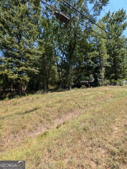 unimproved land for sale at 109 Stewart Avenue, Milledgeville, GA 31061 — photo 10