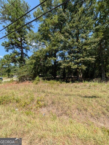 unimproved land for sale at 109 Stewart Avenue, Milledgeville, GA 31061 — photo 8