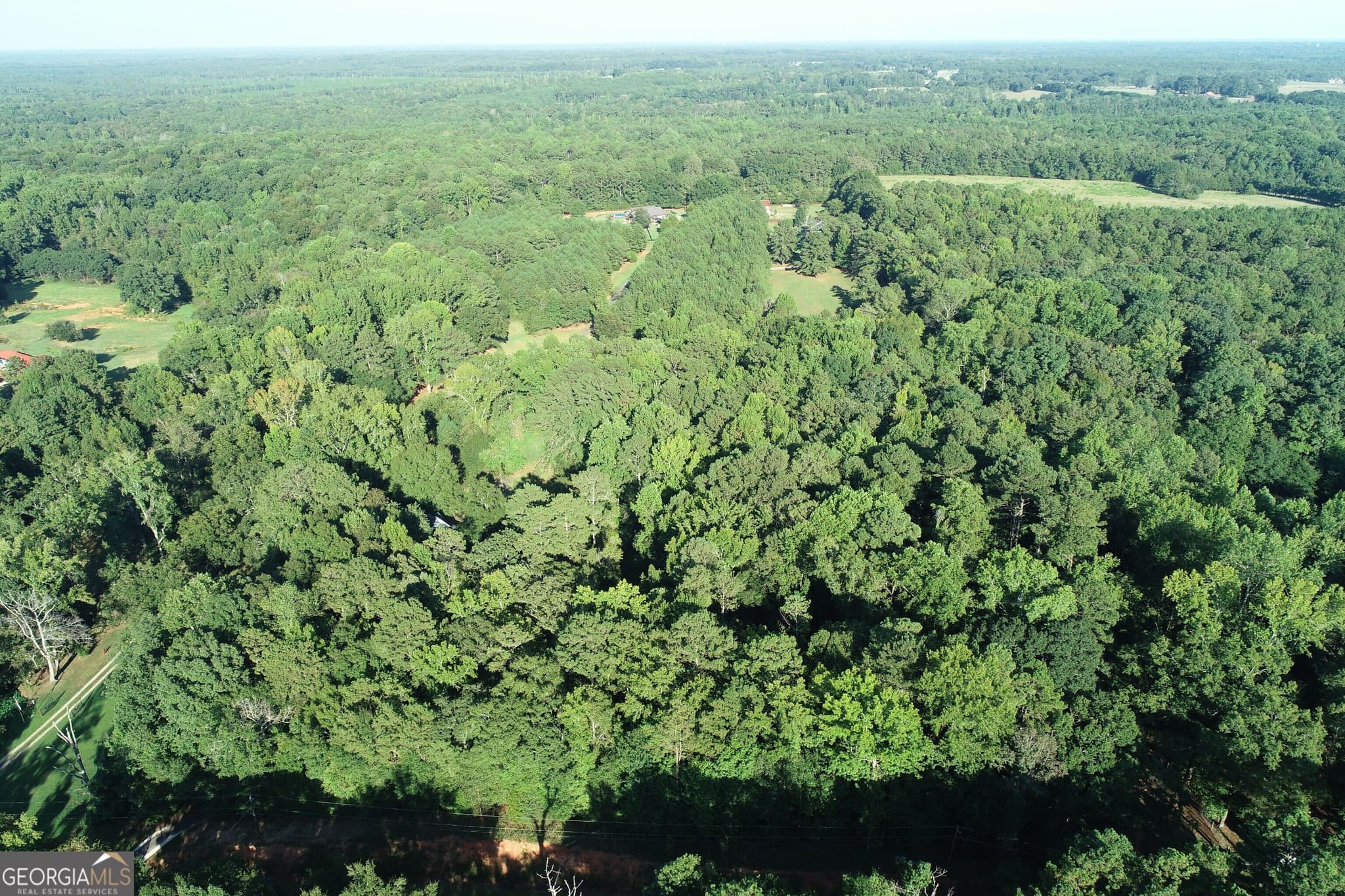 agriculture for sale at 0 Oak Road, Jenkinsburg, GA 30234 — photo 2