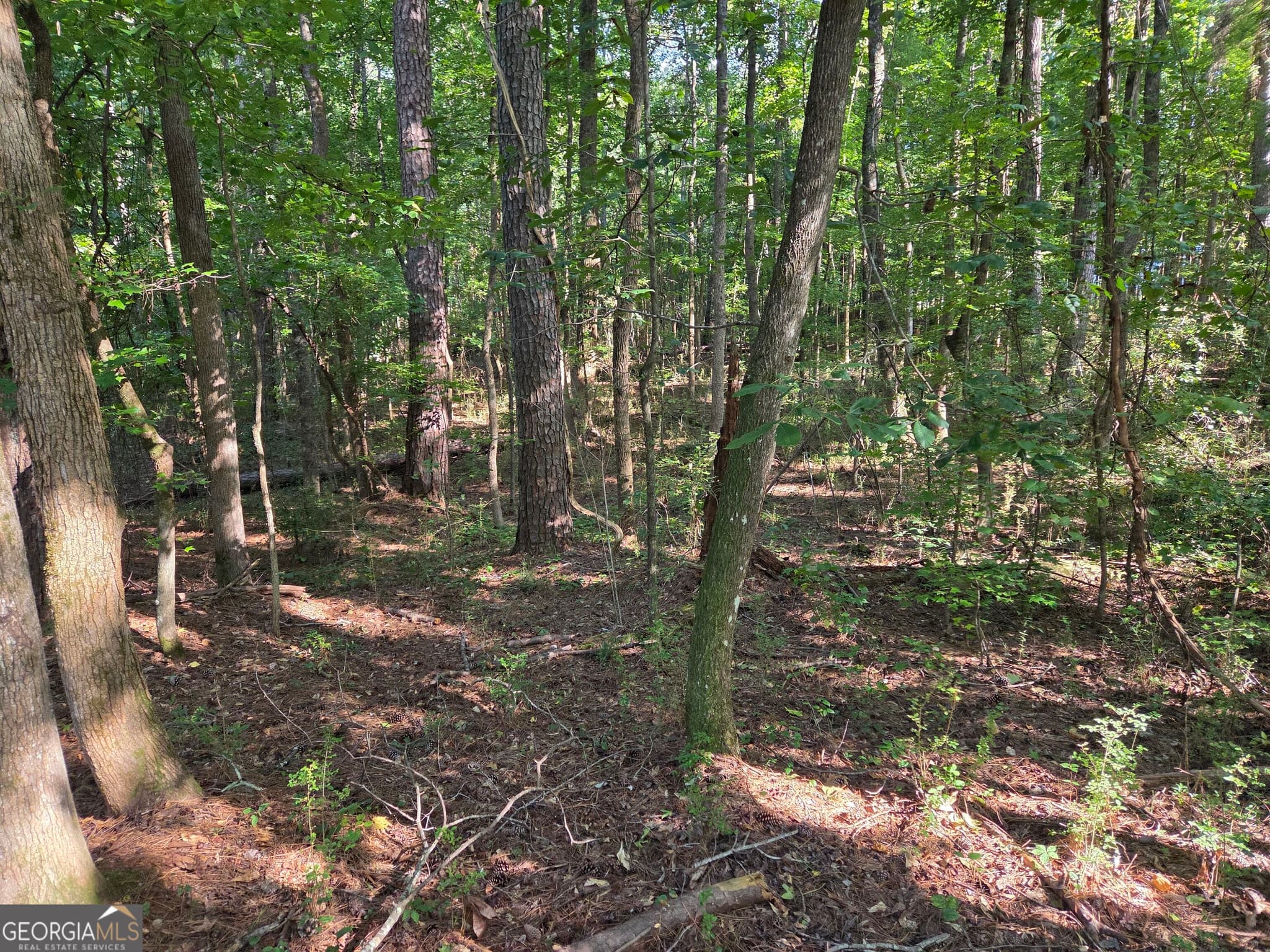 agriculture for sale at 0 Oak Road, Jenkinsburg, GA 30234 — photo 6