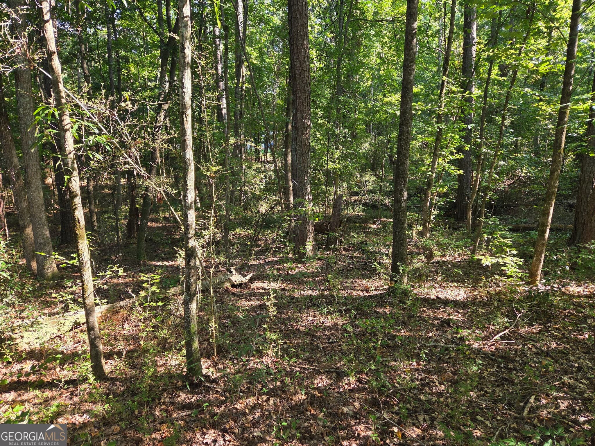 agriculture for sale at 0 Oak Road, Jenkinsburg, GA 30234 — photo 5