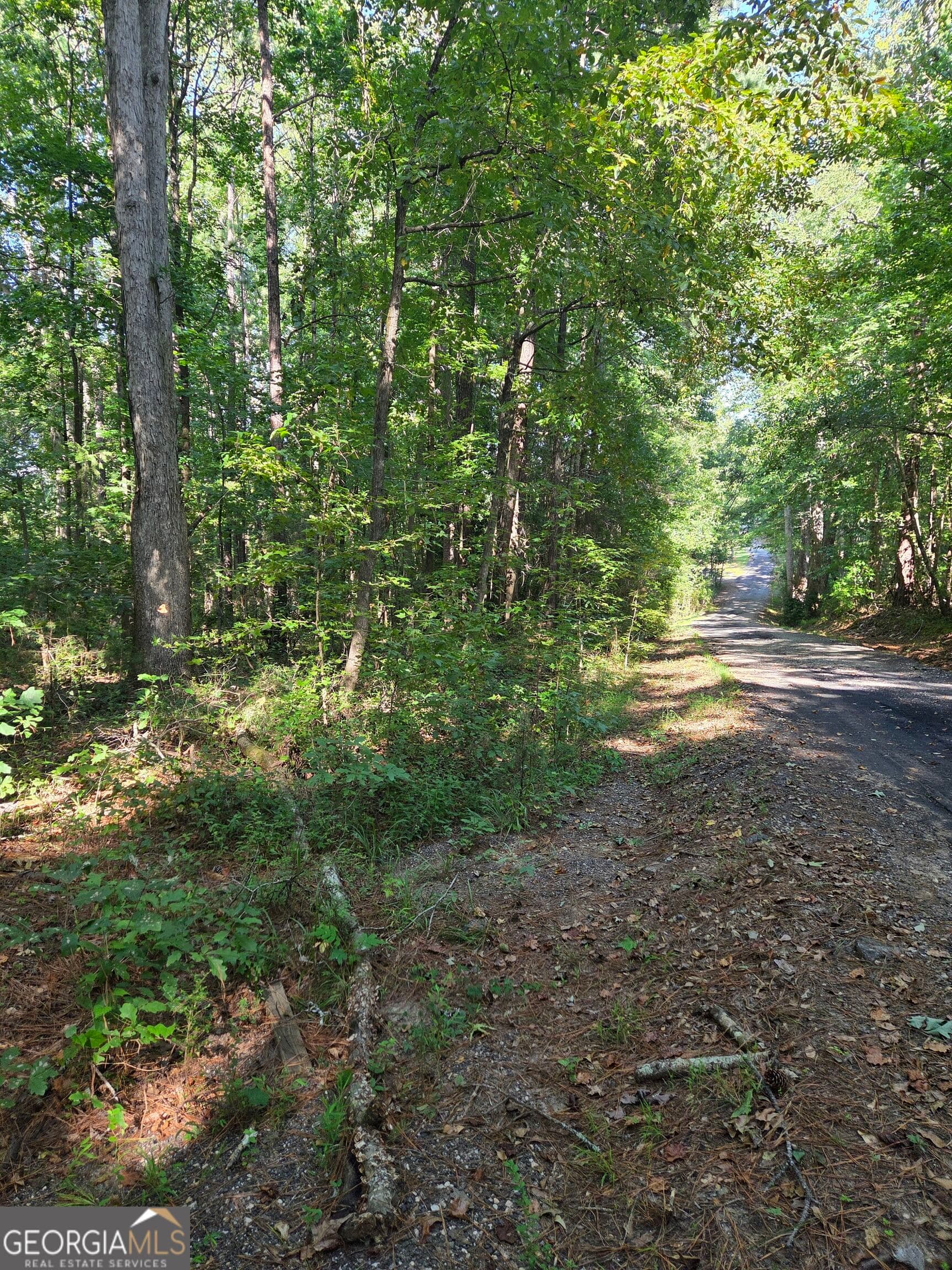 agriculture for sale at 0 Oak Road, Jenkinsburg, GA 30234 — photo 9
