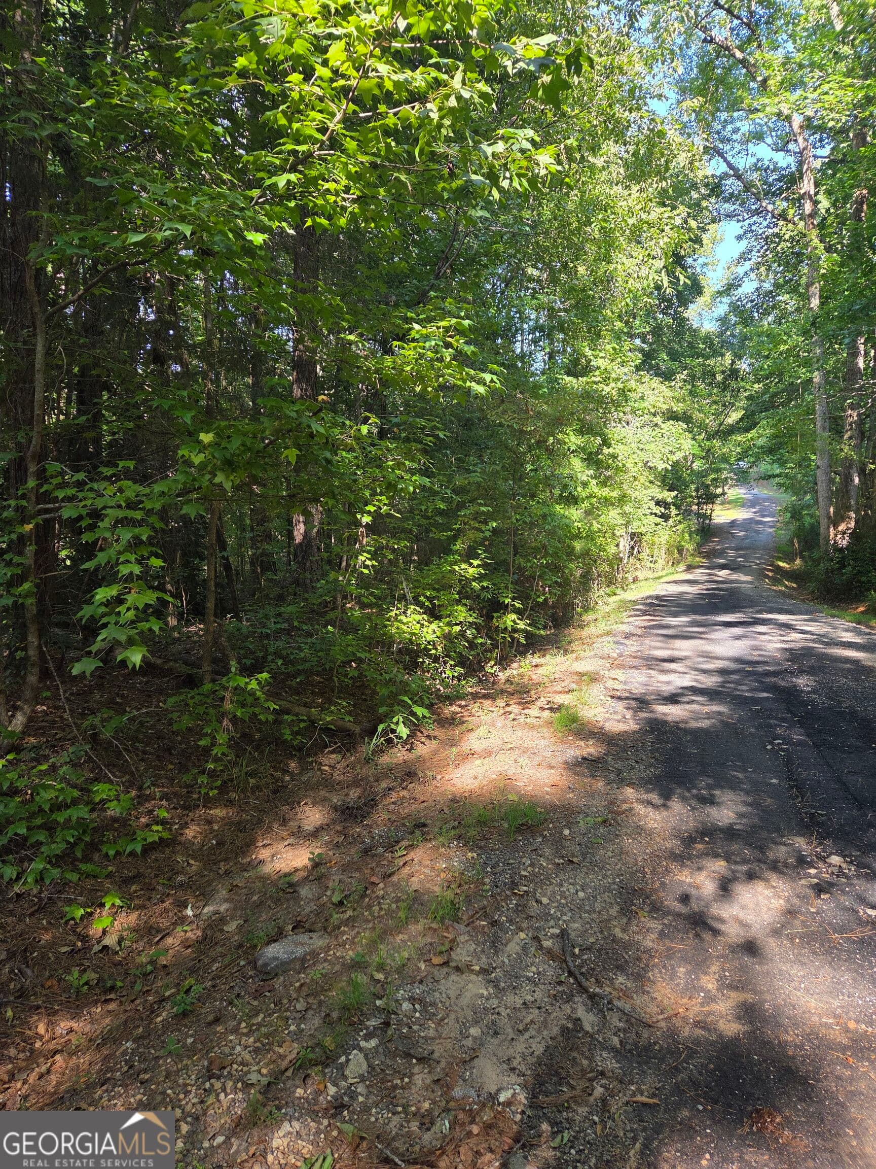 agriculture for sale at 0 Oak Road, Jenkinsburg, GA 30234 — photo 10