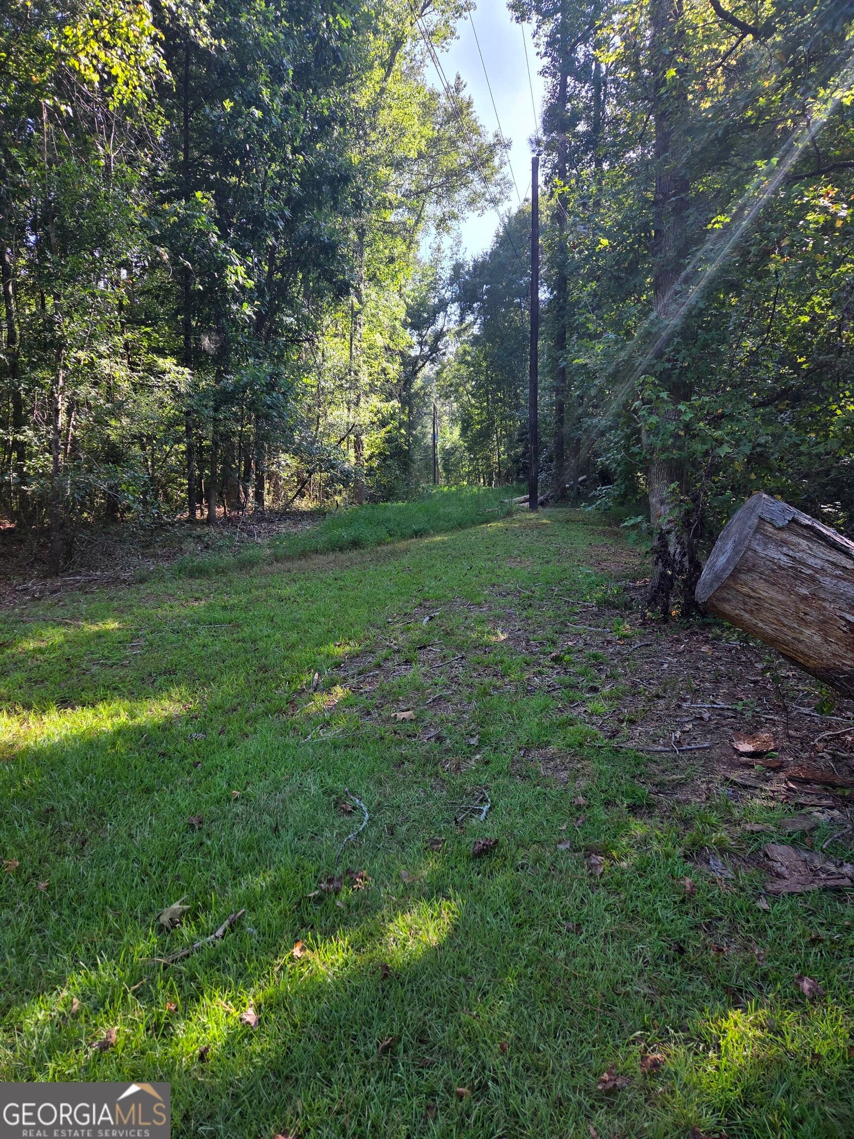 agriculture for sale at 0 Oak Road, Jenkinsburg, GA 30234 — photo 4