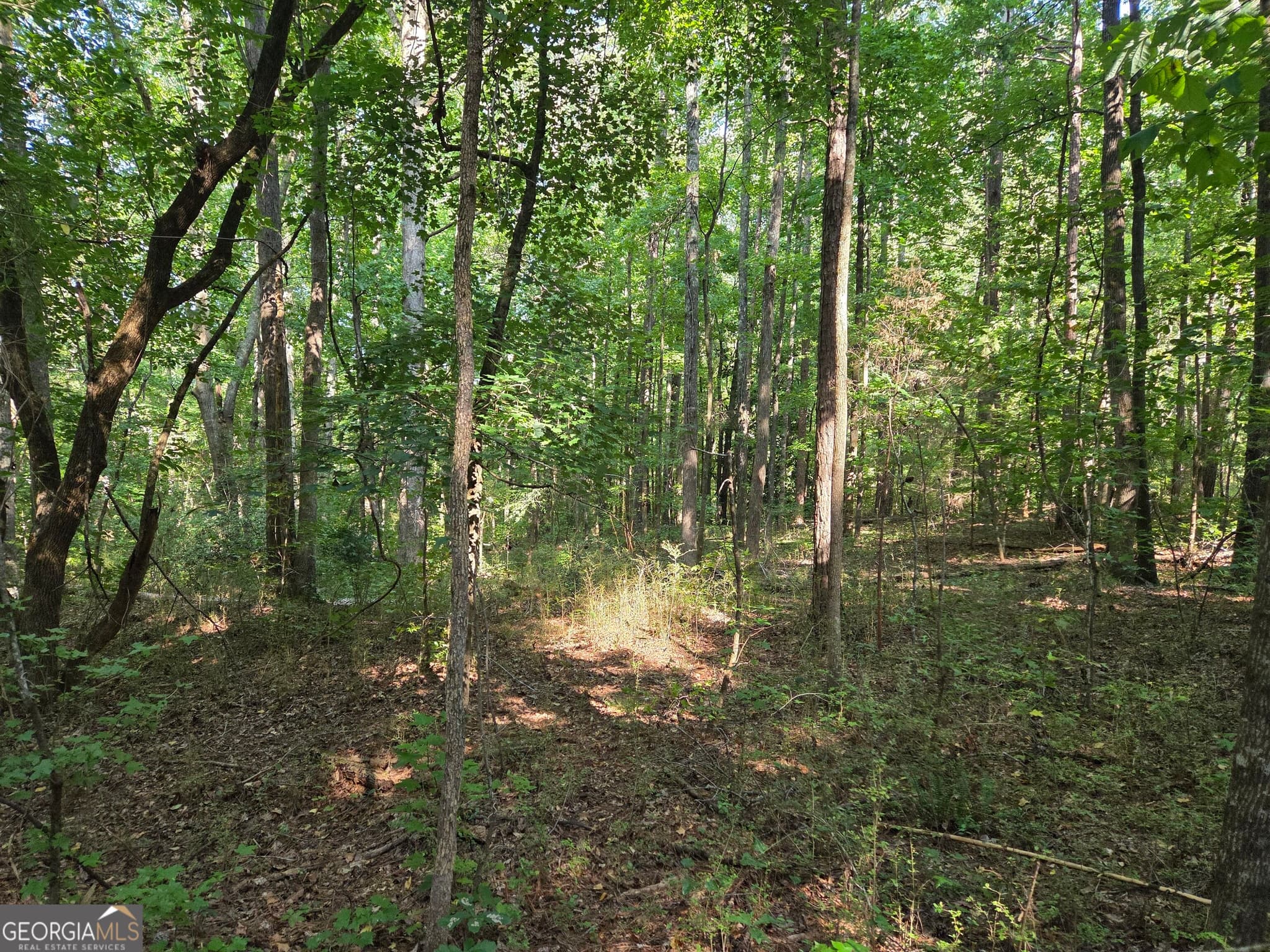 agriculture for sale at 0 Oak Road, Jenkinsburg, GA 30234 — photo 8