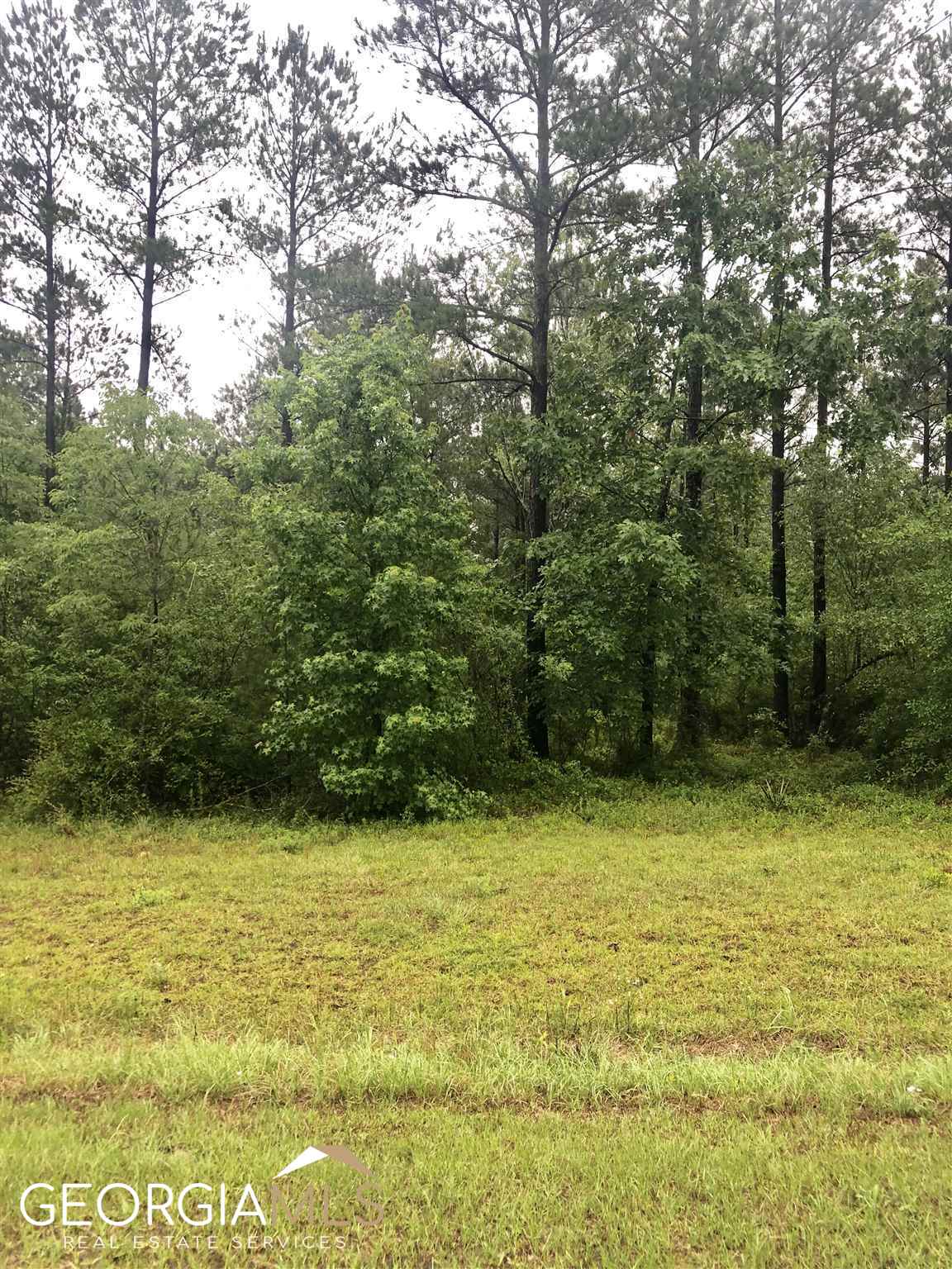 residential lot for sale at 0 Okmulgee Trail LOT 56, Dublin, GA 31021 — photo 6