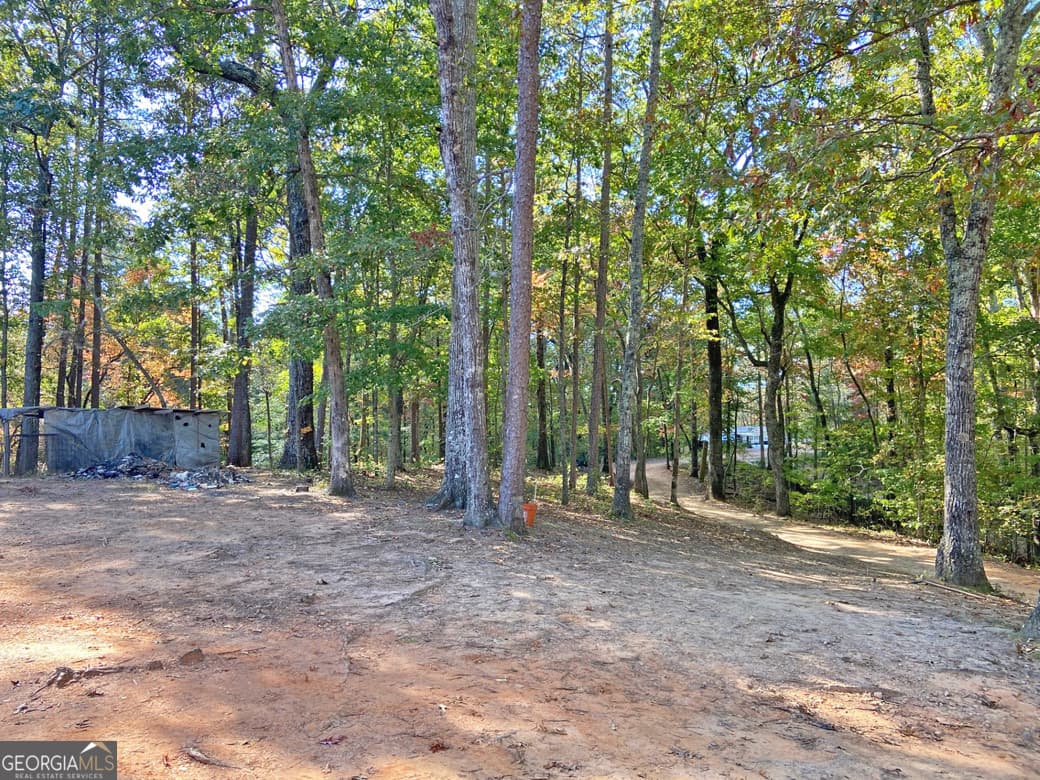 residential lot for sale at 962 Winters Mountain Road, Dahlonega, GA 30533 — photo 3