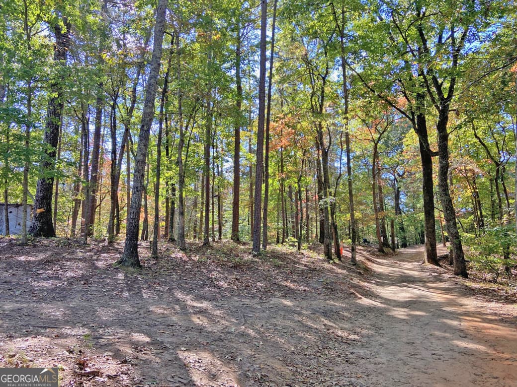 residential lot for sale at 962 Winters Mountain Road, Dahlonega, GA 30533 — photo 1 of 8