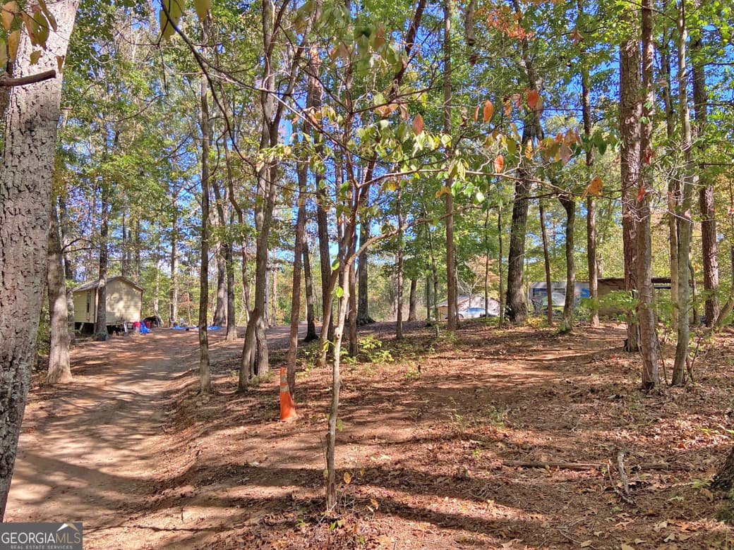 residential lot for sale at 962 Winters Mountain Road, Dahlonega, GA 30533 — photo 5