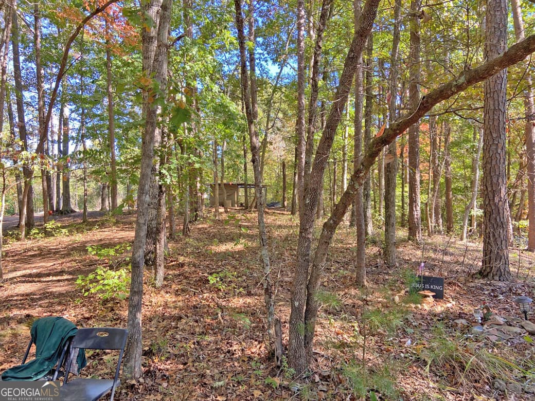 residential lot for sale at 962 Winters Mountain Road, Dahlonega, GA 30533 — photo 4