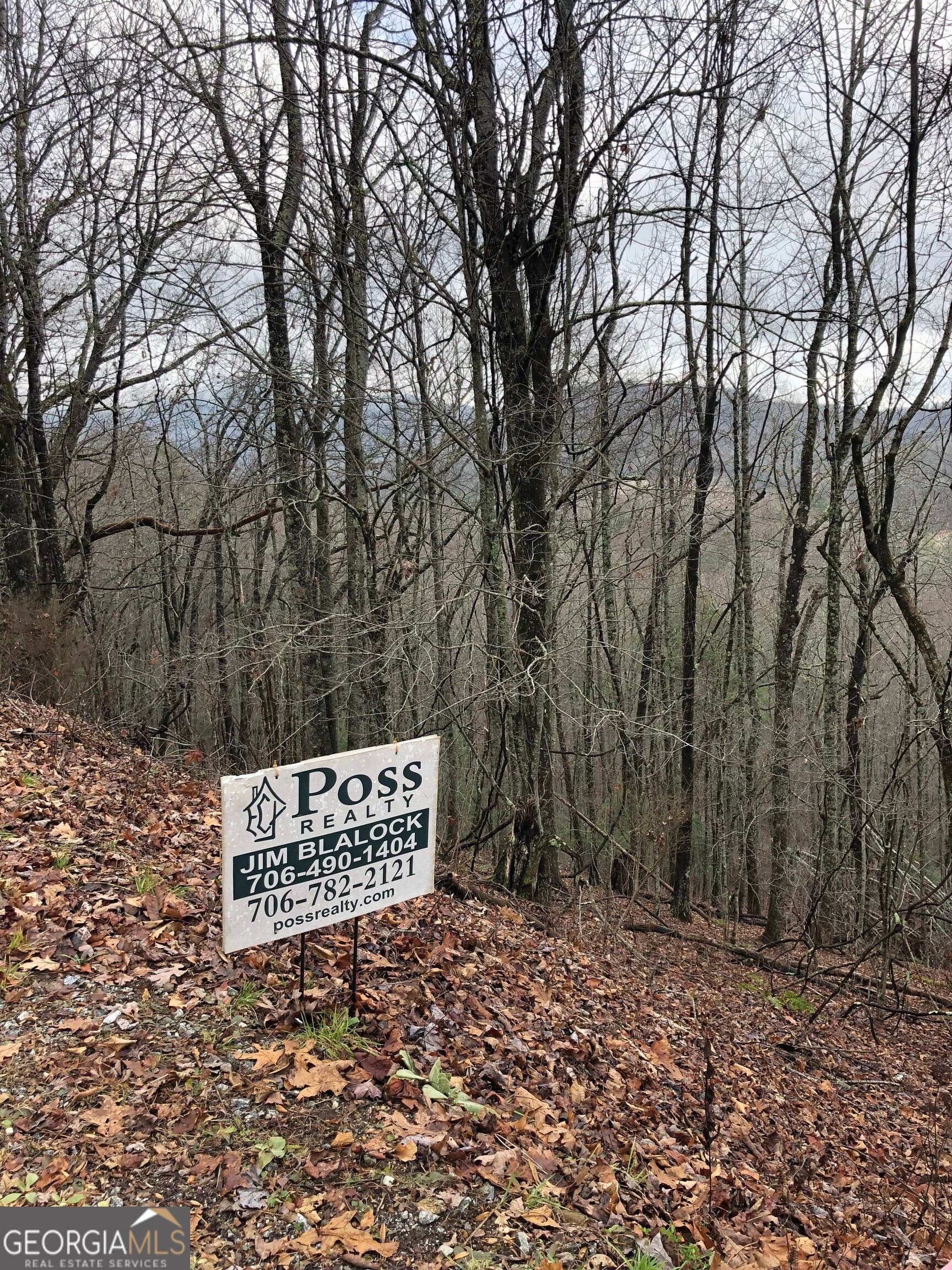 residential lot for sale at 0 Brown Mountain Road, Macon, NC 28775 — photo 2