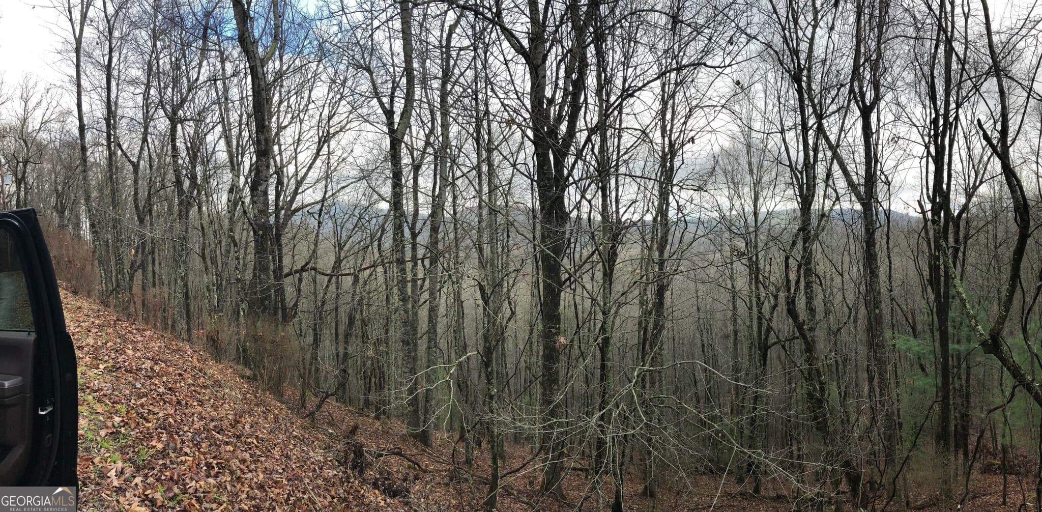 residential lot for sale at 0 Brown Mountain Road, Macon, NC 28775 — photo 3