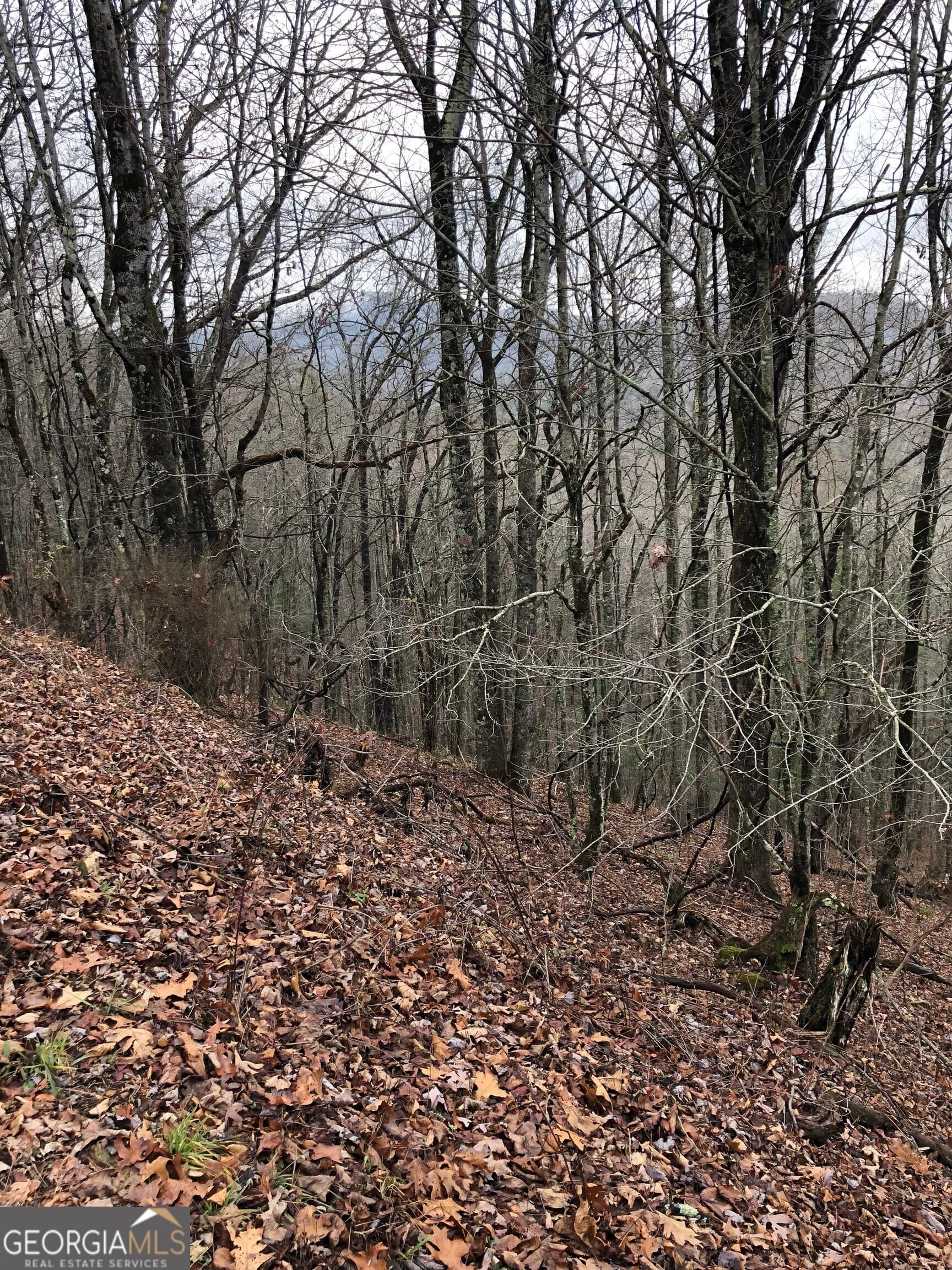 residential lot for sale at 0 Brown Mountain Road, Macon, NC 28775 — photo 4