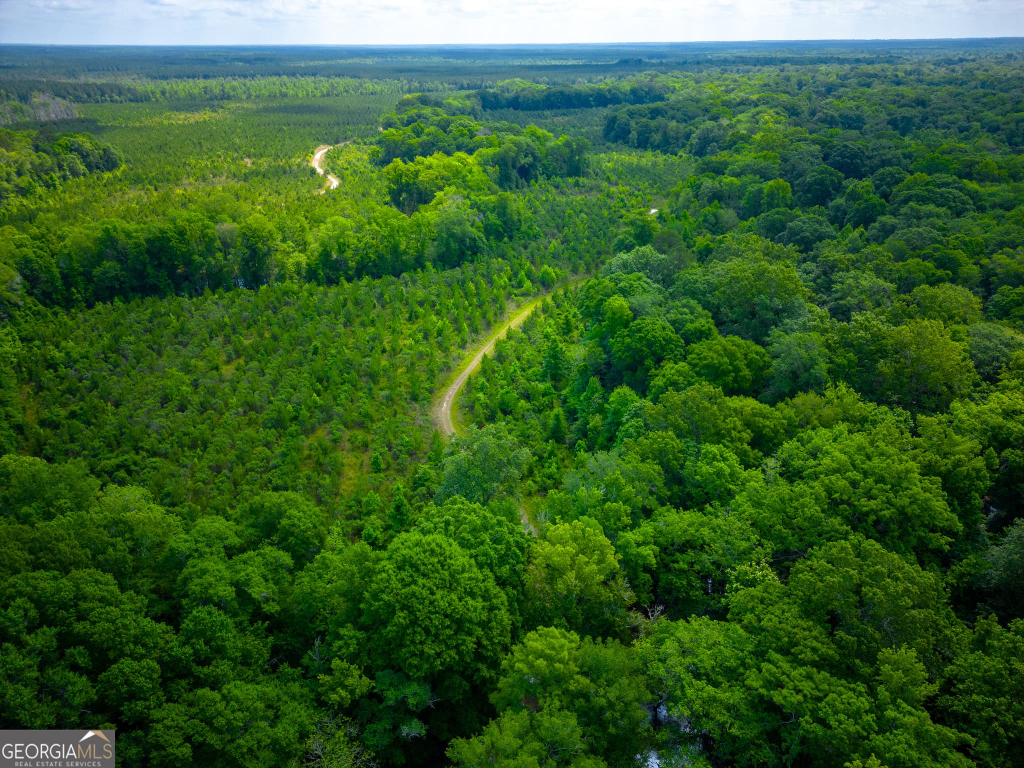 agriculture for sale at 0 East River Road, Jacksonville, GA 31544 — photo 2