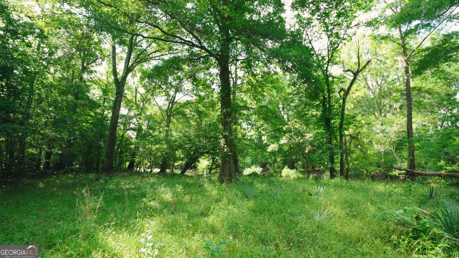 agriculture for sale at 0 East River Road, Jacksonville, GA 31544 — photo 6