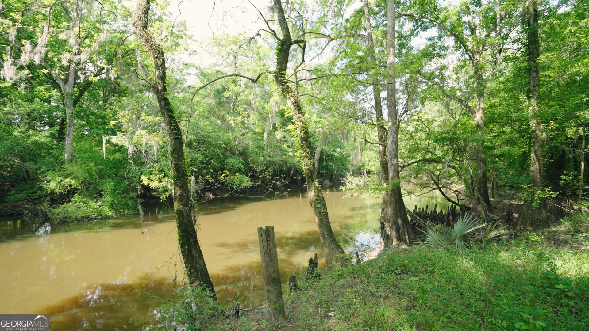 agriculture for sale at 0 East River Road, Jacksonville, GA 31544 — photo 7