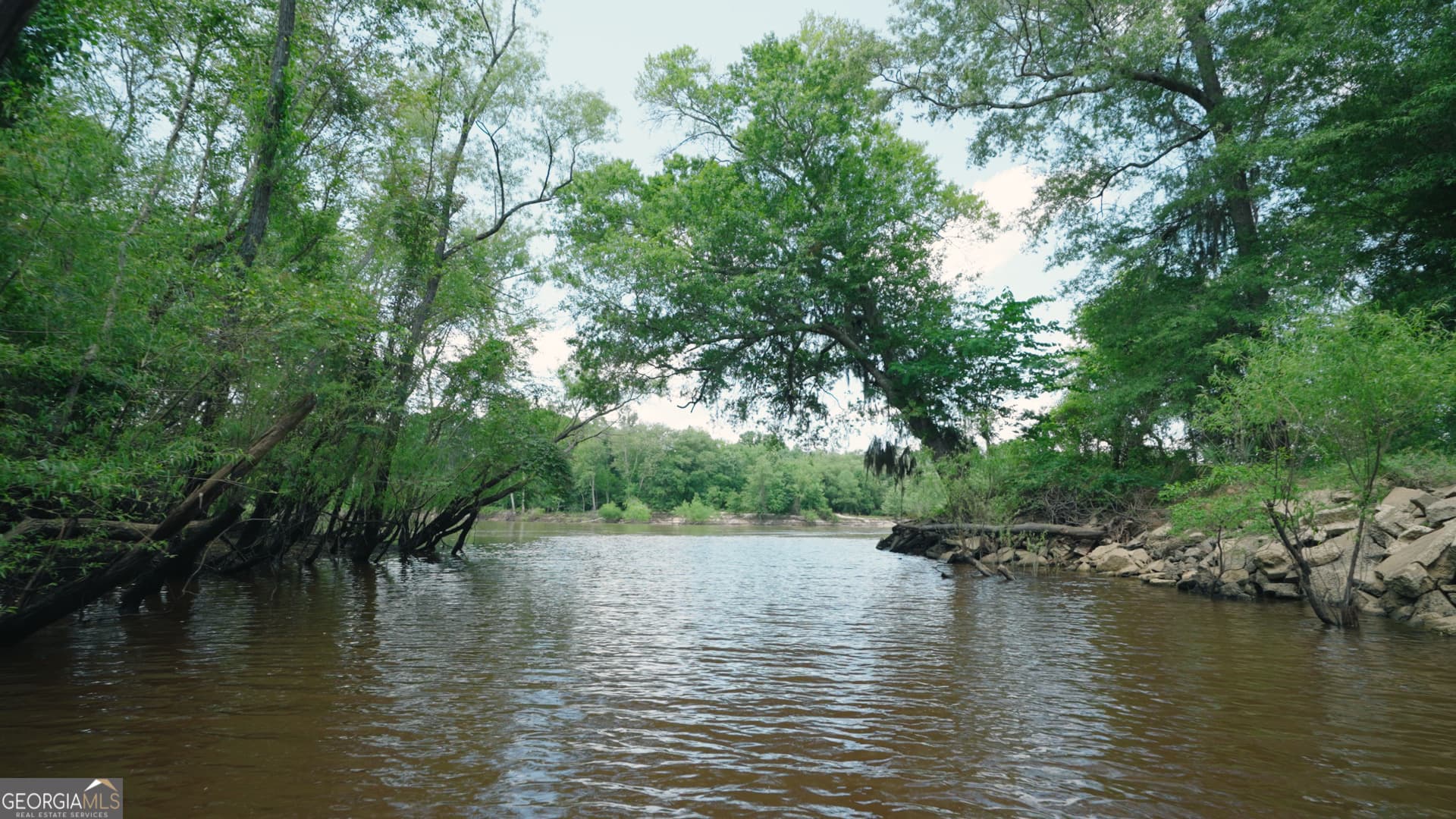 agriculture for sale at 0 East River Road, Jacksonville, GA 31544 — photo 3