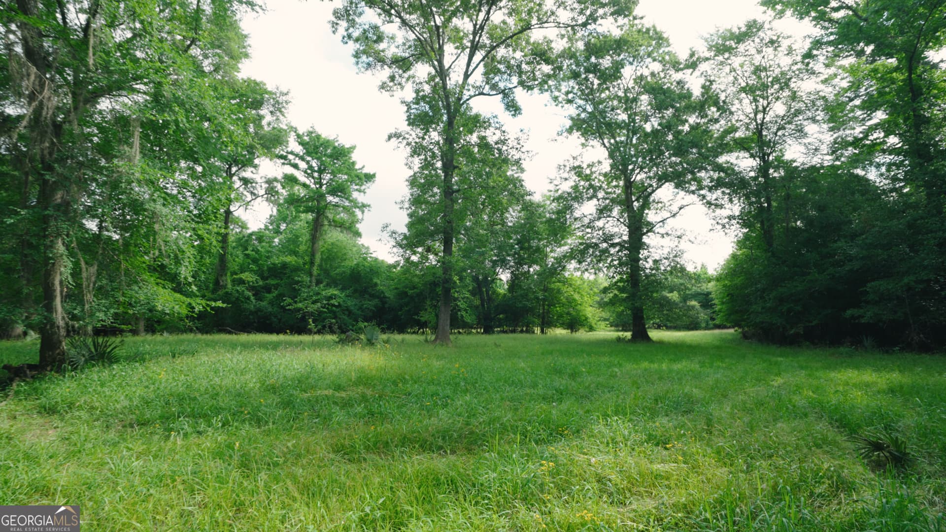agriculture for sale at 0 East River Road, Jacksonville, GA 31544 — photo 5