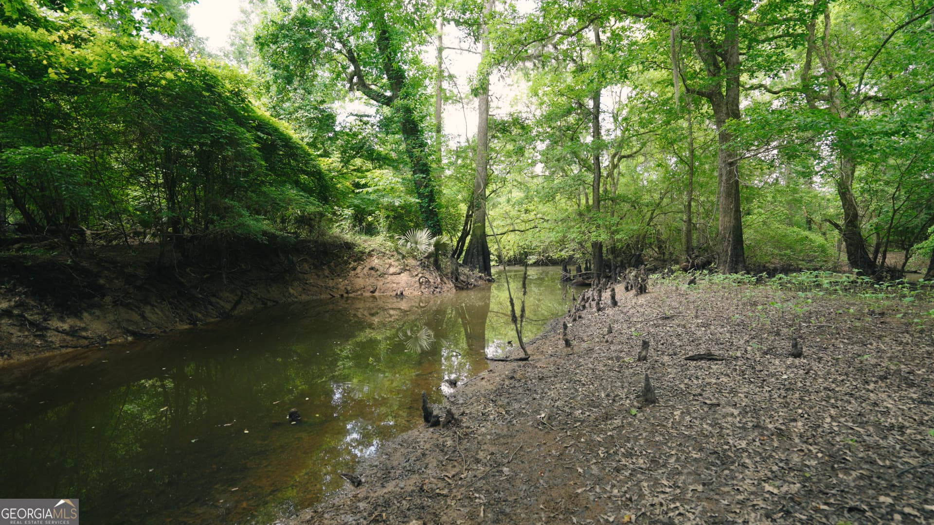 agriculture for sale at 0 East River Road, Jacksonville, GA 31544 — photo 9
