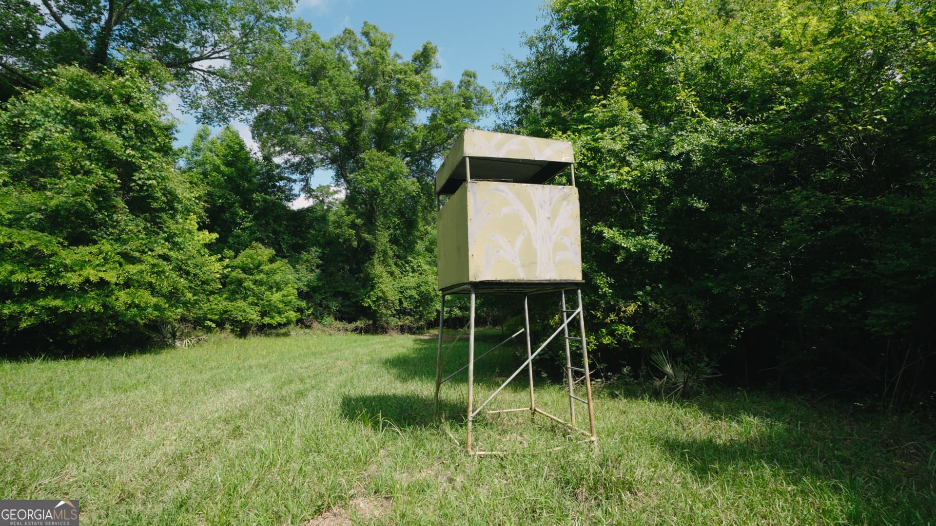 agriculture for sale at 0 East River Road, Jacksonville, GA 31544 — photo 10