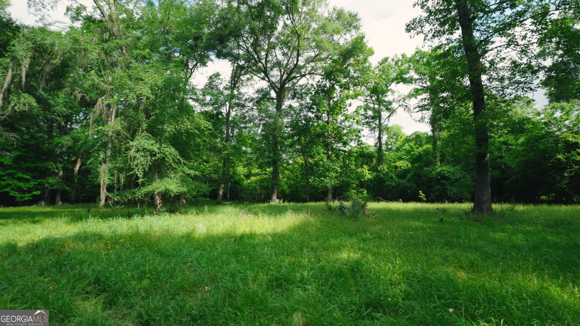 agriculture for sale at 0 East River Road, Jacksonville, GA 31544 — photo 4