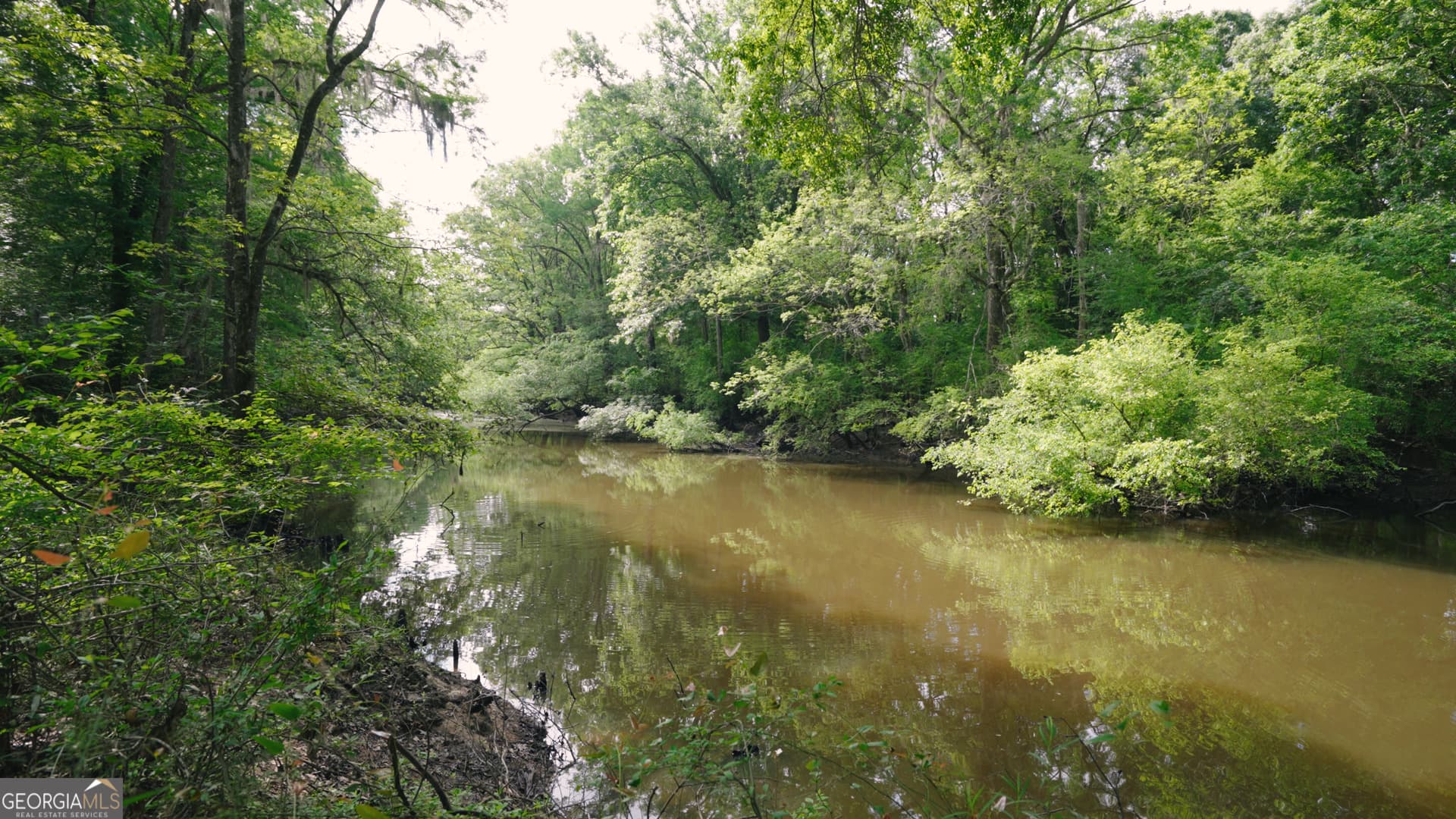 agriculture for sale at 0 East River Road, Jacksonville, GA 31544 — photo 8