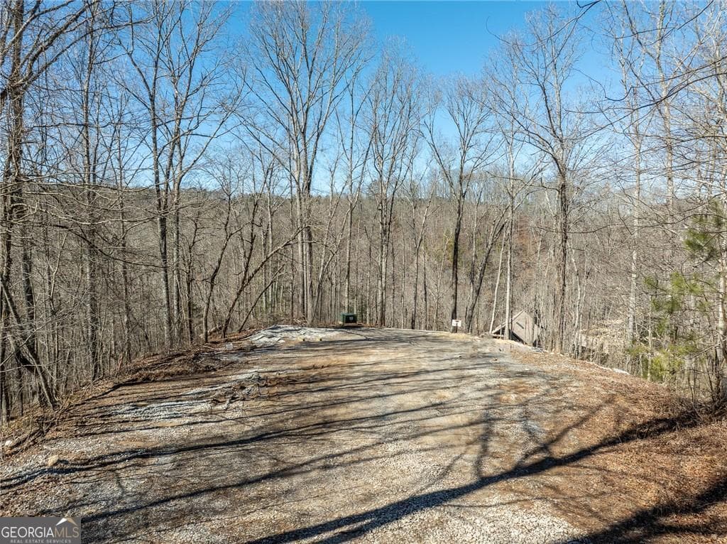 residential lot for sale at 0 River Top Road 1807, Talking Rock, GA 30175 — photo 6