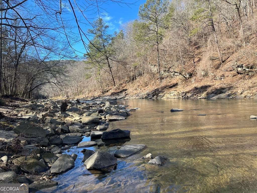 residential lot for sale at 0 River Top Road 1807, Talking Rock, GA 30175 — photo 7