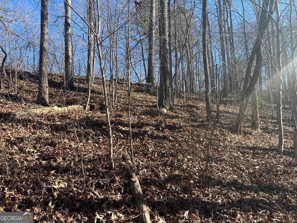 residential lot for sale at 0 River Top Road 1807, Talking Rock, GA 30175 — photo 5