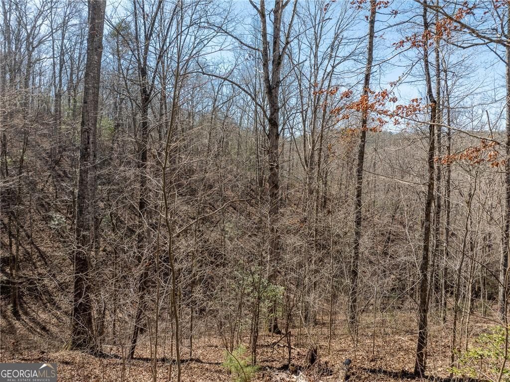 residential lot for sale at 0 River Top Road 1807, Talking Rock, GA 30175 — photo 9