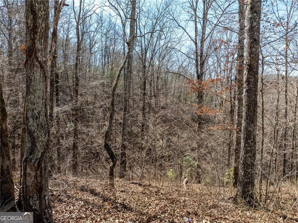 residential lot for sale at 0 River Top Road 1807, Talking Rock, GA 30175 — photo 10