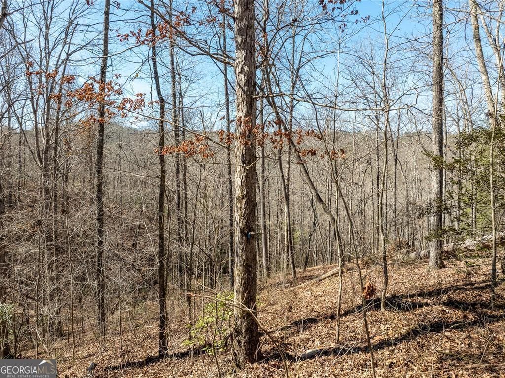 residential lot for sale at 0 River Top Road 1807, Talking Rock, GA 30175 — photo 4