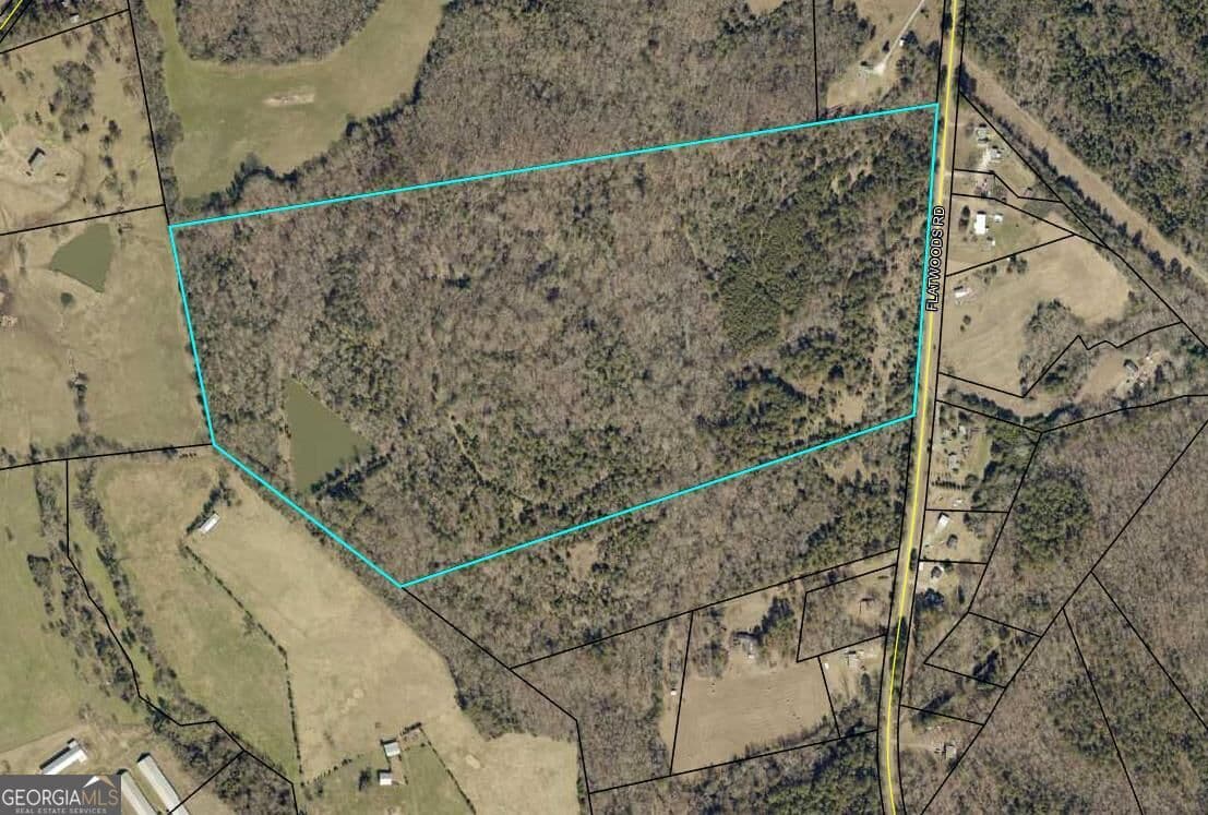 agriculture for sale at 0 Flatwoods Road, Elberton, GA 30635 — photo 2