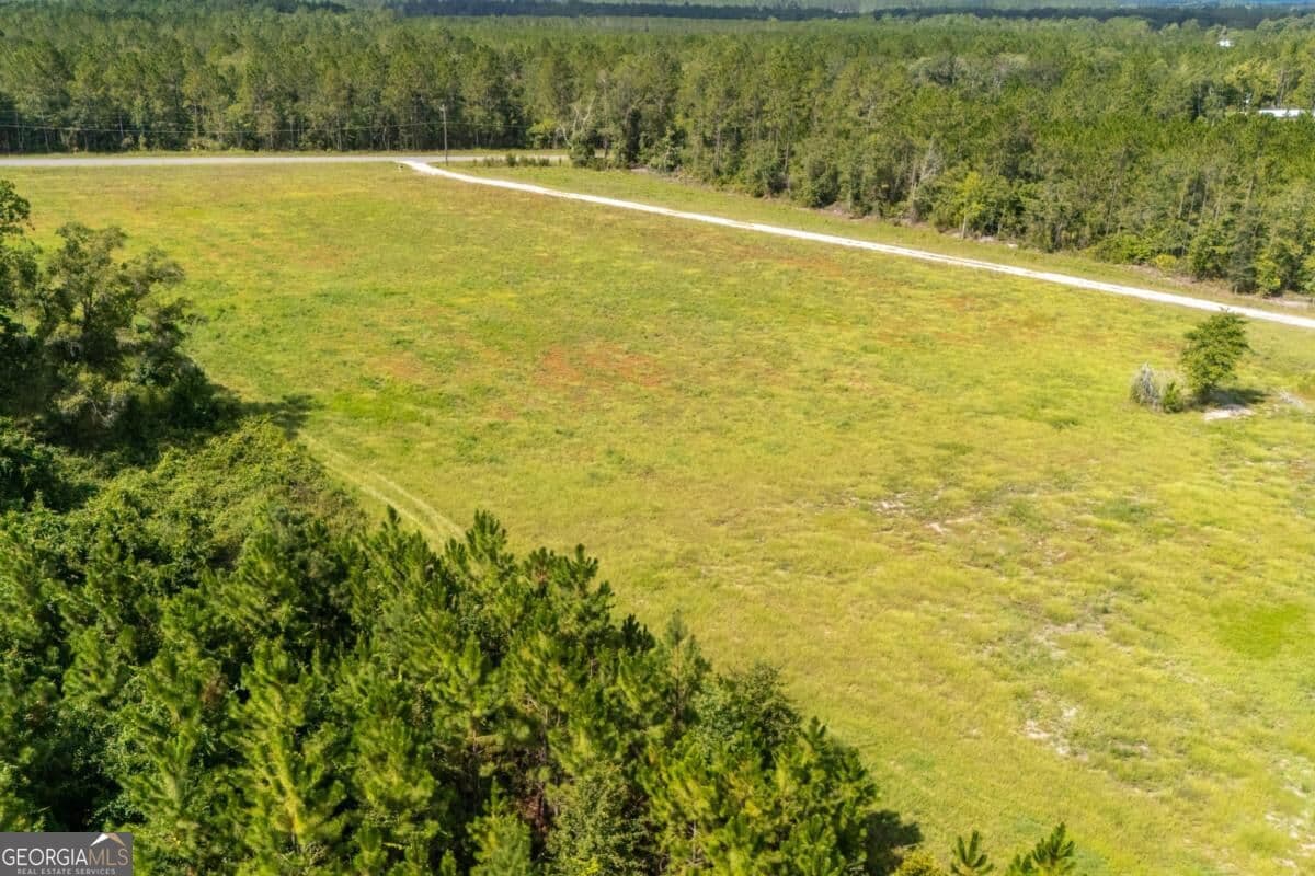 residential lot for sale at 4600 Alma Highway, Waycross, GA 31503 — photo 6